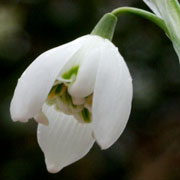 Send en mail til os her